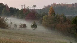 Jesienna mgła w Nad Kamieniem